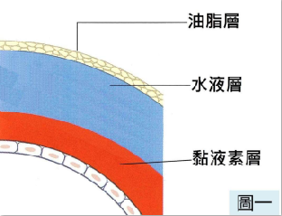 用眼过度后眼睛干涩疲劳一定要警惕干眼症！