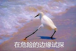 上睑下垂怎么办