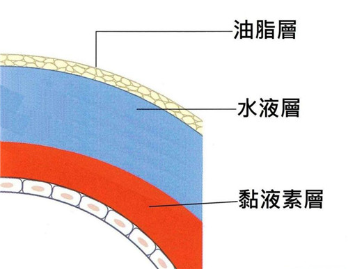 眼睛泪液膜