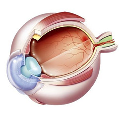 糖尿病对眼睛视网膜的影响