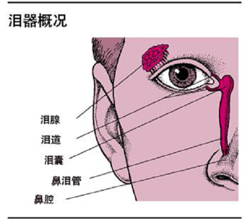 健身时汗流浃背感觉很爽?但汗水入眼需警惕泪囊炎找上门来!