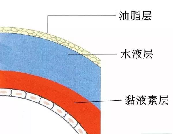 手机刷屏不离手？当心干眼症！