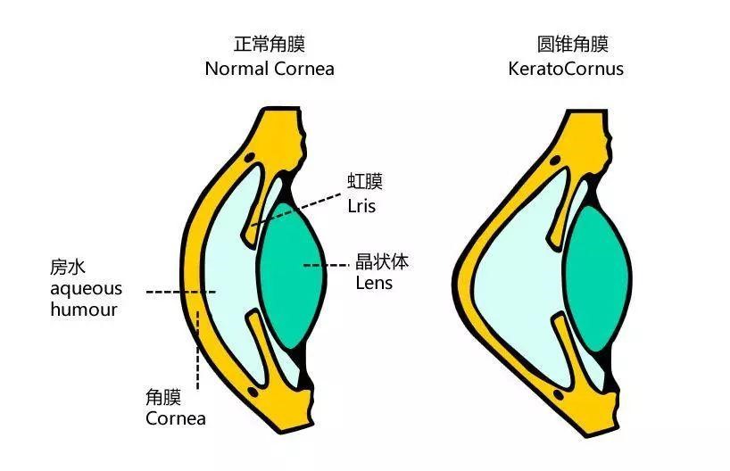 北京希玛眼科医院